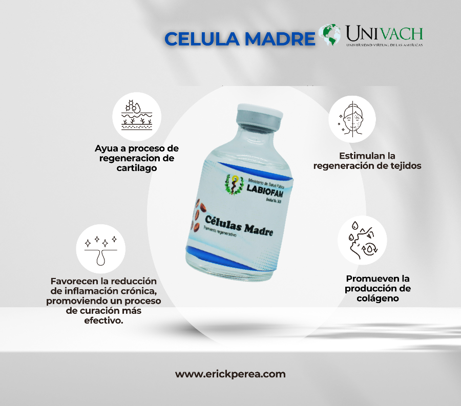 Célula Madre