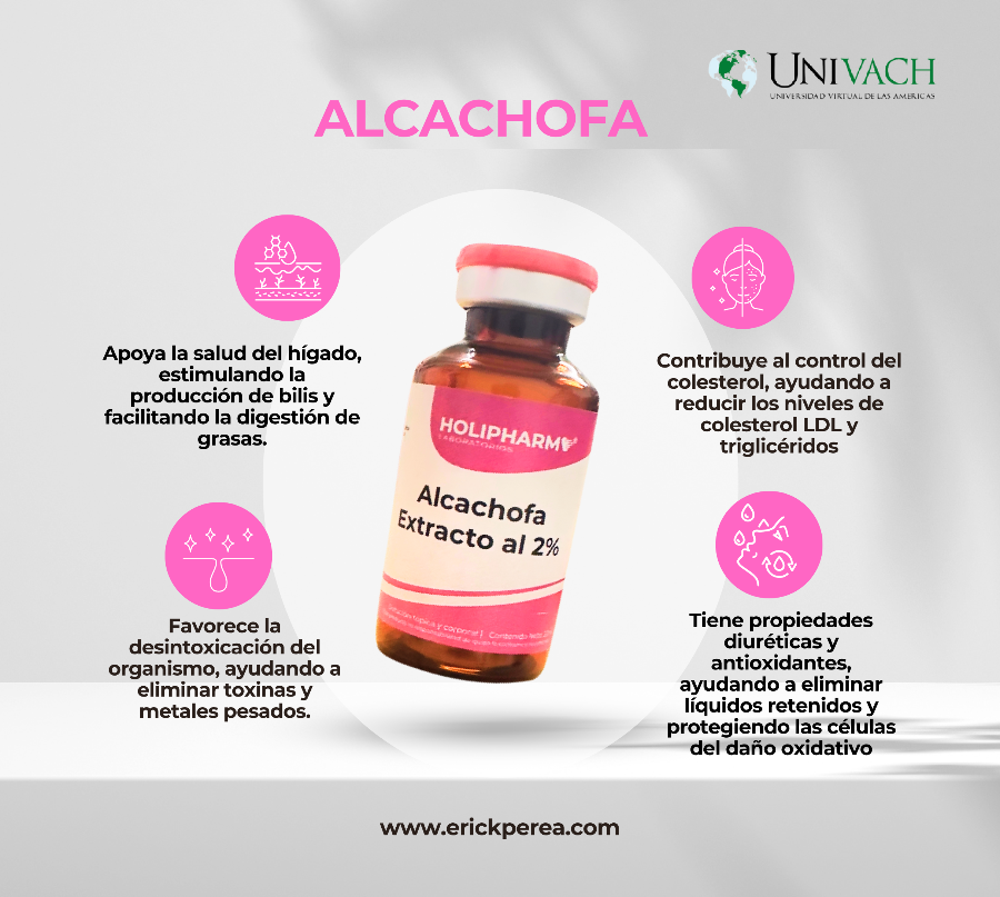 Alcachofa